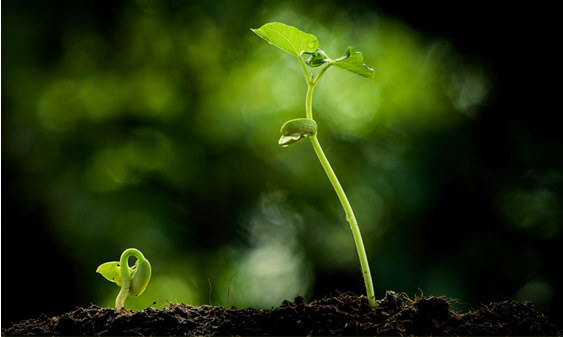 Licenciamento ambiental